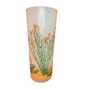VINTAGE Blakely Oil & Gas Arizona Ocotillo CACTUS Tall Frosted Collins GLASS